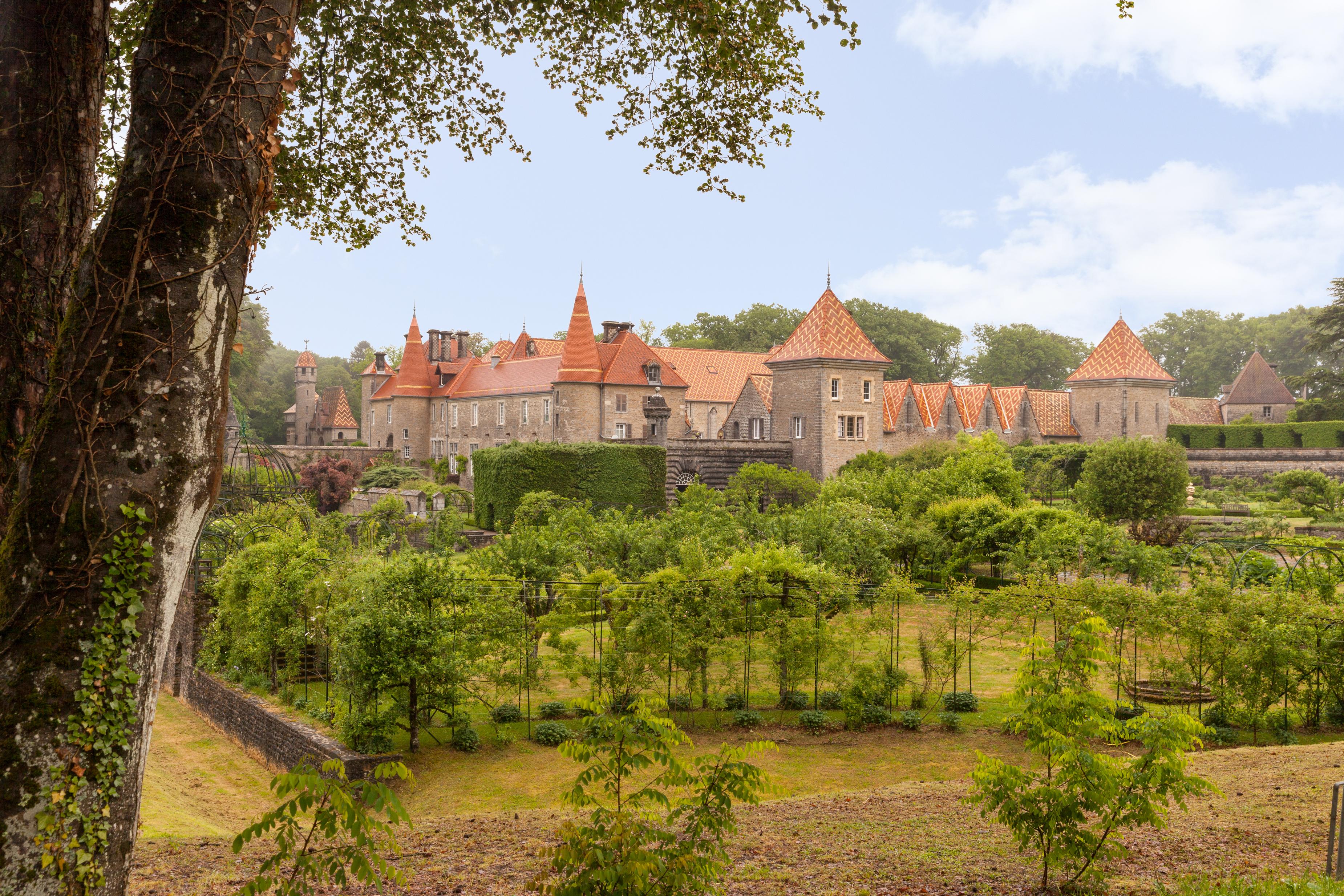 Chateau De Bournel Cubry Ngoại thất bức ảnh