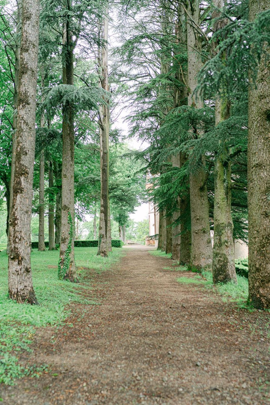 Chateau De Bournel Cubry Ngoại thất bức ảnh